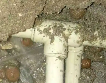 龙湾测漏水多少钱