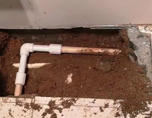 龙湾测漏水哪家好