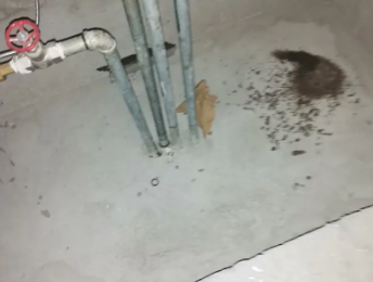 龙湾卫生间测漏水价格明细