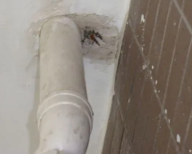 龙湾漏水检测哪家好